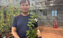 Ông chủ vườn lan 9X Trần Vinh và niềm đam mê với hoa phong lan
