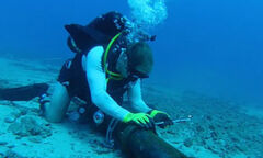 Sửa cáp quang biển AAG bị đứt có thể mất 1 tháng