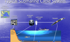 Cáp quang biển AAG: Đã xác định được vị trí đứt cáp