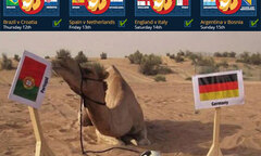  "Tiên tri " lạc đà đoán đúng 100\%, phán Bồ Đào Nha sẽ hạ Đức