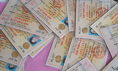 Video: Cảnh báo tình trạng sử dụng giấy phép lái xe, đăng ký giả