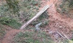 Gã bố dượng  "sở khanh " giở trò đồi bại với con riêng của vợ