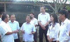 Trăn trở của cựu giáo viên làm kinh tế trang trại