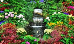 Lặng ngắm  "vườn hoa địa đàng " vòng quanh thế giới