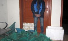 Bắt giữ đối tượng vận chuyển 70kg rắn hổ mang chúa