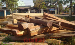 Gia Lai: Thu giữ gần 40 lóng gỗ trái phép