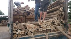 Nghệ An: Bắt giữ 15m3 gỗ lậu