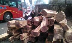 Đà Nẵng: Bắt giữ xe khách vận chuyển 1,624m3 gỗ hương