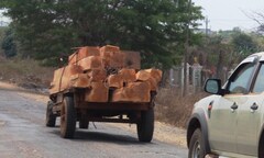 Gia Lai: Bắt giữ xe công nông vận chuyển 2m3 gỗ lậu