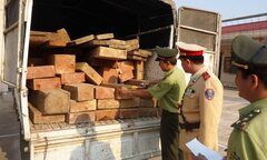 Phát hiện 3,7m3 gỗ quý vì xe... nổ lốp