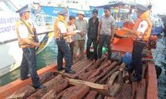 Bắt giữ tàu Campuchia vận chuyển 4m3 gỗ trắc