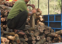 Bình Định: Phát hiện 3,2 tấn gỗ trắc ở nhà hoang