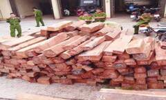 Phú Yên: Bắt giữ xe vận chuyển 5,5m3 gỗ hương lậu