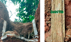 Hà Tĩnh: Phát hiện ngôi mộ lạ có đầu lâu rất lớn