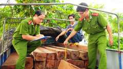 Bắt giữ hơn 7m3 gỗ lậu “ngụy trang” bằng vỏ trấu