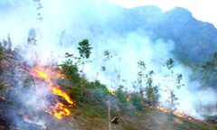 “Bà hỏa” thiêu rụi hơn 20ha rừng kinh tế ở Quảng Bình