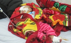 Khởi tố, bắt tạm giam em rể truy sát chị vợ, chém trọng thương cháu gái