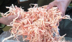 Phát hiện và thu giữ 340kg mực khô được làm giả từ... sắn