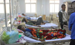 Ăn cá nóc, 3 ngư dân nhập viện trong tình trạng nguy kịch