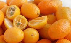 Hạt quất rơi vào khí quản, bé 15 tháng tuổi chết não, sống thực vật