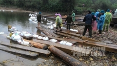 Để lọt 220 phiến gỗ lậu, 8 cán bộ, kiểm lâm bị kỷ luật