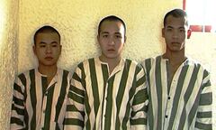 Ném đá, đập vỡ kính xe khách vì… bụi bay vào người