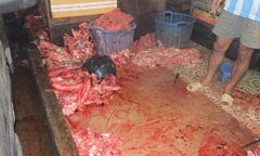 Tẩy trắng nội tạng trâu bò bằng hóa chất không rõ nguồn gốc