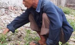 Ước mơ của người mẹ già gồng gánh nuôi hai con tâm thần