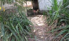 Cuộc sống tách biệt hàng chục năm của 3 người phụ nữ nghèo