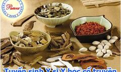 Học Y sĩ định hướng Y học cổ truyền có thể làm việc gì?