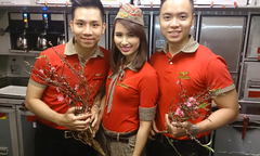 Vietjet vận chuyển mai, đào dịp tết Nguyên Đán 2015