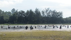 Háo hức với ngày hội  "Phá trằm " ở Quảng Trị