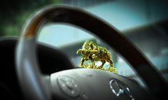 Quý linh phong thuỷ xe hơi, bình an cho người tuổi Sửu