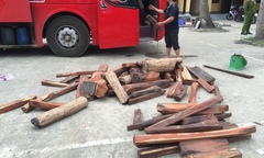 Bắt giữ xe khách Lào vận chuyển 600kg gỗ trắc