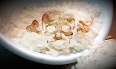 Gạo giả Trung Quốc làm từ nhựa: Việt Nam tăng cường kiểm soát