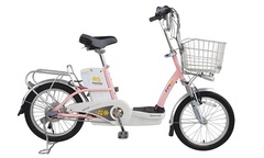 Những chiếc xe đạp điện  "hót " nhất tháng 5