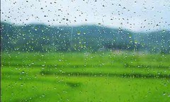 Mỹ giới thiệu mẫu ô tô chạy bằng độ ẩm không khí