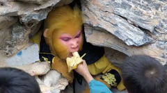 Khu du lịch Trung Quốc tuyển người làm Tôn Ngộ Không, trả lương hơn 20 triệu đồng  "chỉ để ăn "