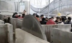 Độc lạ đám cưới tổ chức trong chuồng lợn, dân mạng phải thốt lên: Không có gì là không thể