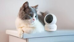 Phát hiện vợ ngoại tình nhờ máy theo dõi thú cưng, sự thật sau đó khiến nhiều người bất ngờ