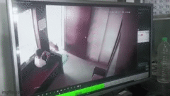 Video: Thấy báo hoa mai bước vào phòng, cậu bé có màn xử lý cực thông minh