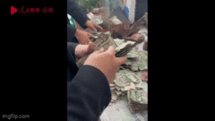 Cụ già chôn hơn nửa tỷ đồng xuống dưới đất, người nhà ngỡ ngàng khi biết được sự thật