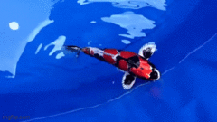 Con cá Koi đắt nhất thế giới, giá ngang một căn biệt thự  "dị biệt " thế nào?