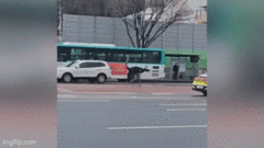 Video: Đà điểu trốn khỏi vườn thú  "náo loạn " đường phố Hàn Quốc