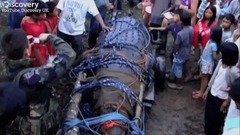 Cận cảnh con cá sấu nặng 1088kg, từng là ác mộng với người dân Philippines 