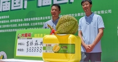 Quả sầu riêng 7kg bất ngờ được trả giá hàng tỷ đồng
