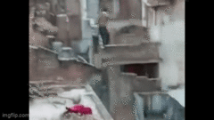 Khoảnh khắc báo hoa mai vào làng tấn công người dân,  5 người bị thương