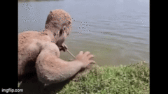 Pha bắt cá bằng một tay “dễ hơn ăn kẹo” của nam thanh niên