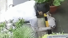 Thấy vết  "lạ " ngoài hành lang, người phụ nữ xem camera phát hiện hành vi đáng sợ của nam shipper