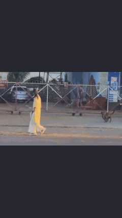 Video: Thích cái cách mà cô gái phản ứng khi bị chó đuổi